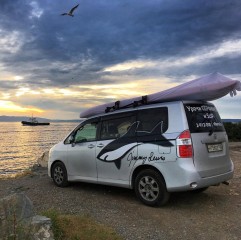 ЛЕТНЯЯ ИСТОРИЯ